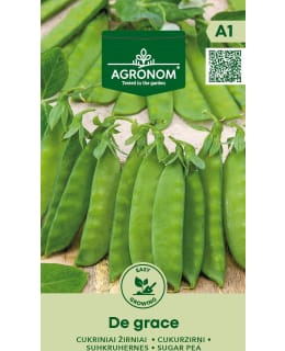 HORTEX SOKERIHERNE DE GRACE Main Image