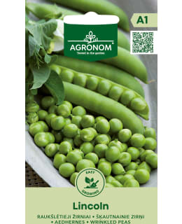 HORTEX SILPOYDINHERNE LINCOLN Main Image