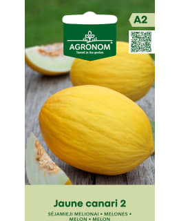 HORTEX MELONI JAUNE CANARI 2 Main Image