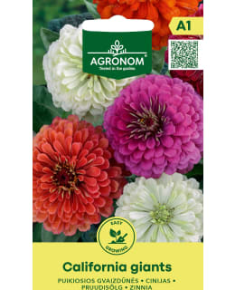 HORTEX TSINNIA СALIFORNIA GIANTS Main Image