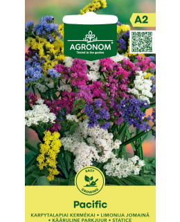 HORTEX SINI-IKIVIUHKO PACIFIC Main Image