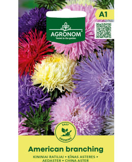 HORTEX CHINA ASTER AMERICAN BRANCHING Main Image