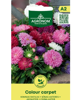 HORTEX KÄÄPIÖASTERI COLOUR CARPET Main Image