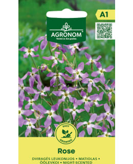 HORTEX SARVILEUKOIJA ROSE Main Image