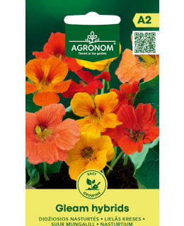 HORTEX ISOKÖYNNÖSKRASSI GLEAM HYBRIDS Main Image