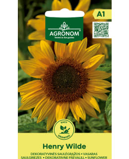 HORTEX AURINGONKUKKA HENRY WILDE Main Image