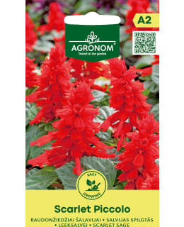 HORTEX PRAKTSALVIA SCARLET PICCOLO Main Image