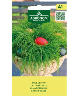 HORTEX RAIRUOHO Main Image