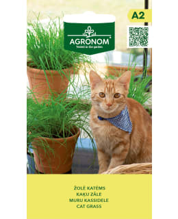 HORTEX KISSANRUOHO Main Image