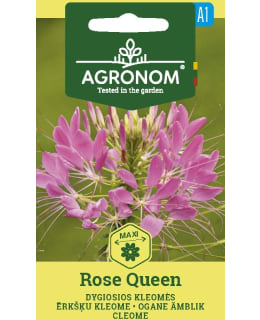 HORTEX HÄMÄHÄKKIKUKKA ROSE QUEEN Main Image