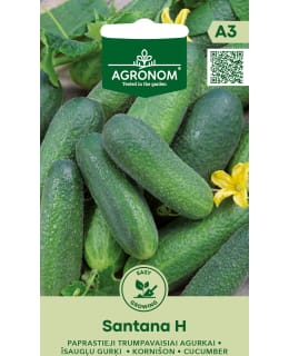 HORTEX KURKKU SANTANA H Main Image