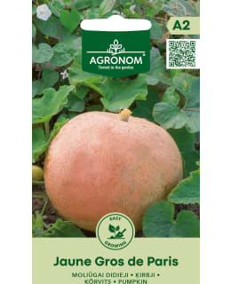 HORTEX ISO KURPITSA JAUNE GROS DE PARIS Main Image