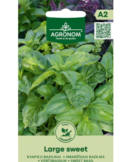 HORTEX MAUSTEBASILIKA LARGE SWEET Main Image