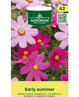 HORTEX KOSMOSKUKKA EARLY SUMMER Main Image