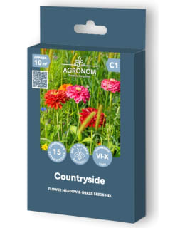 FLOWERY COUNTRYSIDE FLOWER MEADOW Main Image