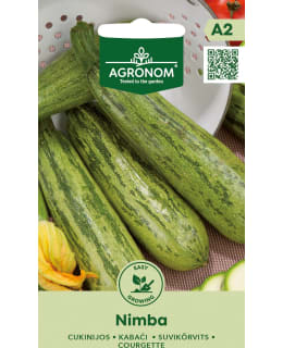 HORTEX KESÄKURPITSA NIMBA Main Image