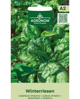 HORTEX PINAATTI WINTERRIESEN Main Image