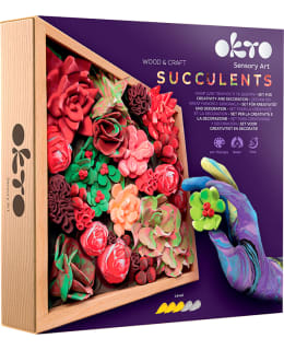 OKTOCLAY SUCCULENTS PASSION 3D PAINTING Main Image