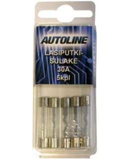 AL 6X32MM 30A 5KPL LASISULAKE Main Image