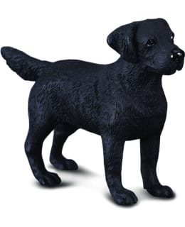 COLLECTA 88076 LABRADORINNOUTAJA M Main Image
