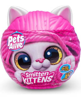 PETS ALIVE SMITTEN KITTENS S1 Main Image