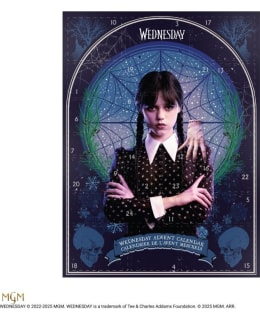 WEDNESDAY JOULUKALENTERI 2025 Main Image