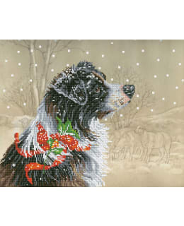 DD CHRISTMAS COLLIE TIMANTTITYÖ Main Image