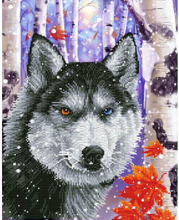 DD FOREST WOLF TIMANTTITYÖ Main Image