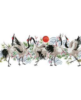 DD BROLGA DANCE TIMANTTITYÖ Main Image