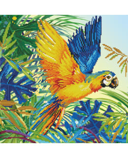 DD TROPICAL MAJESTY TIMANTTITYÖ Main Image