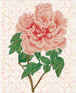 DD ROSE BLUSH TIMANTTITYÖ Main Image