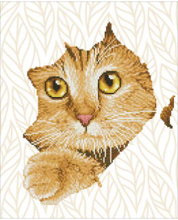 DD KITTEN PEEK TIMANTTITYÖ Main Image