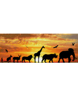 DD AFRICAN SKY TIMANTTITYÖ Main Image