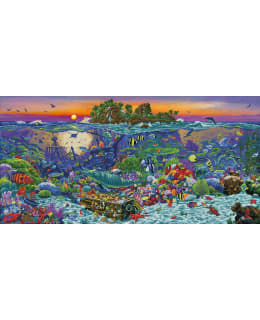 DD CORAL REEF ISLAND TIMANTTITYÖ Main Image