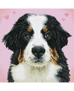 DD SAY HELLO TO ZUZU TIMANTTITYÖ Main Image