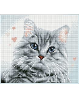 DD PRICILLA TIMANTTITYÖ Main Image