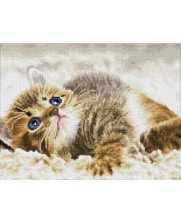 DD BABY PIE TIMANTTITYÖ Main Image