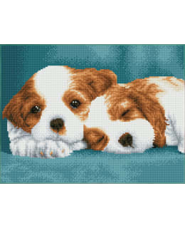 DD LITTLE CHAMPS TIMANTTITYÖ Main Image