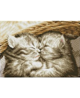 DD LITTLE DARLINGS TIMANTTITYÖ Main Image