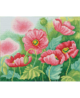 DD WATERCOLOUR POPPIES TIMANTTITYÖ Main Image