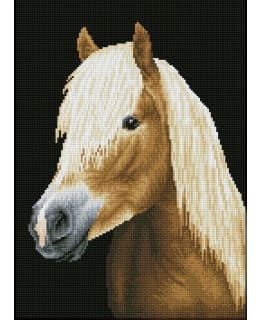 DD CHESTER TIMANTTITYÖ Main Image