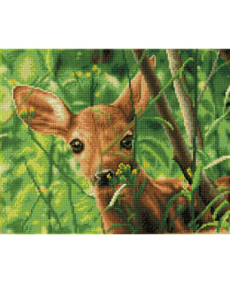 DD FOREST BABE TIMANTTITYÖ Main Image