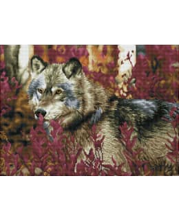 DD AUTUMN WOLF TIMANTTITYÖ Main Image