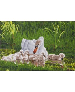 DD MOTHER SWAN TIMANTTITYÖ Main Image