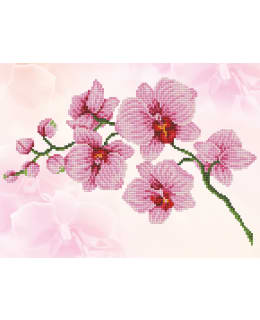 DD ORCHID SPRAY TIMANTTITYÖ Main Image