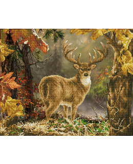 DD PRINCE OF THE FOREST TIMANTTITYÖ Main Image