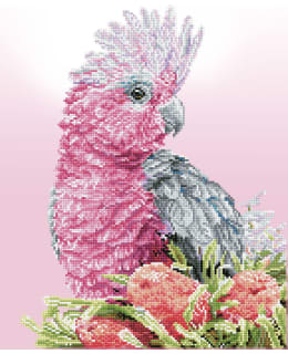 DD PINK GALAH & BANKSIAS TIMANTTITYÖ Main Image