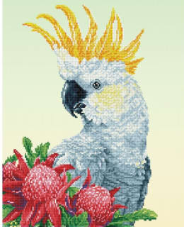 DD WHITE COCKATOO & WARATHAS TIMANTTITYÖ Main Image