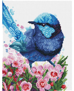 DD SPLENDID FAIRY WREN TIMANTTITYÖ Main Image