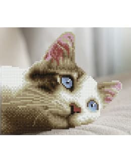 DD DAYDREAM KITTY TIMANTTITYÖ Main Image